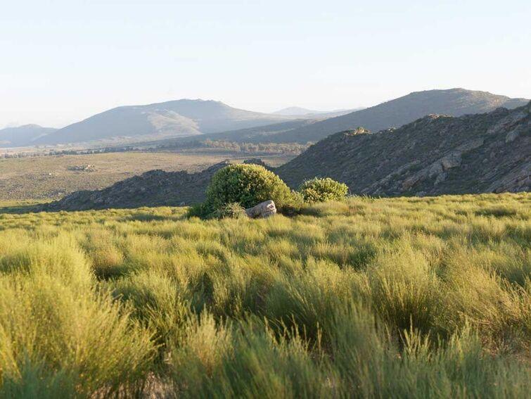 Big field, mountains in the background