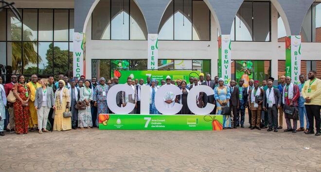 Consultative International Cashew Council (CICC)