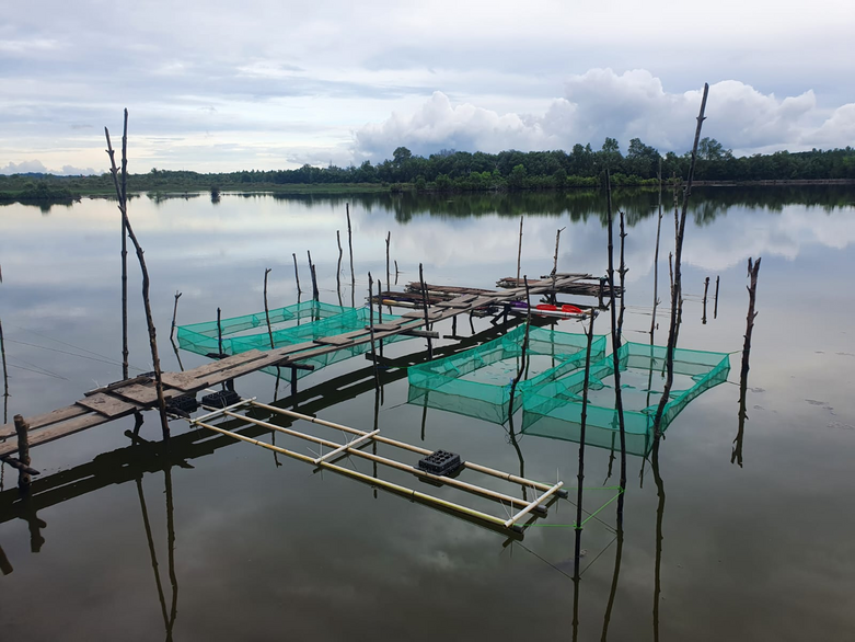 Blick auf einen See und einen Steg