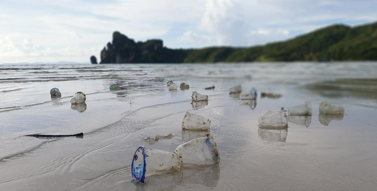 Plastikbecher verschmutzen einen Strand