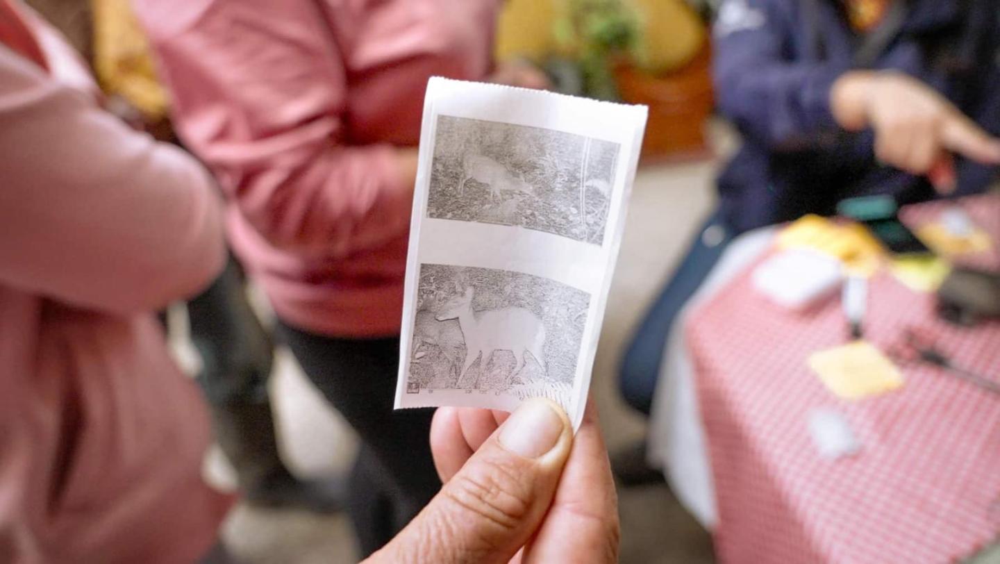 Eine Hand hält ein ausgedrucktes Foto mit zwei Schwarz-Weiß-Bildern eines Rehs im Wald, im Hintergrund unscharfe Personen.