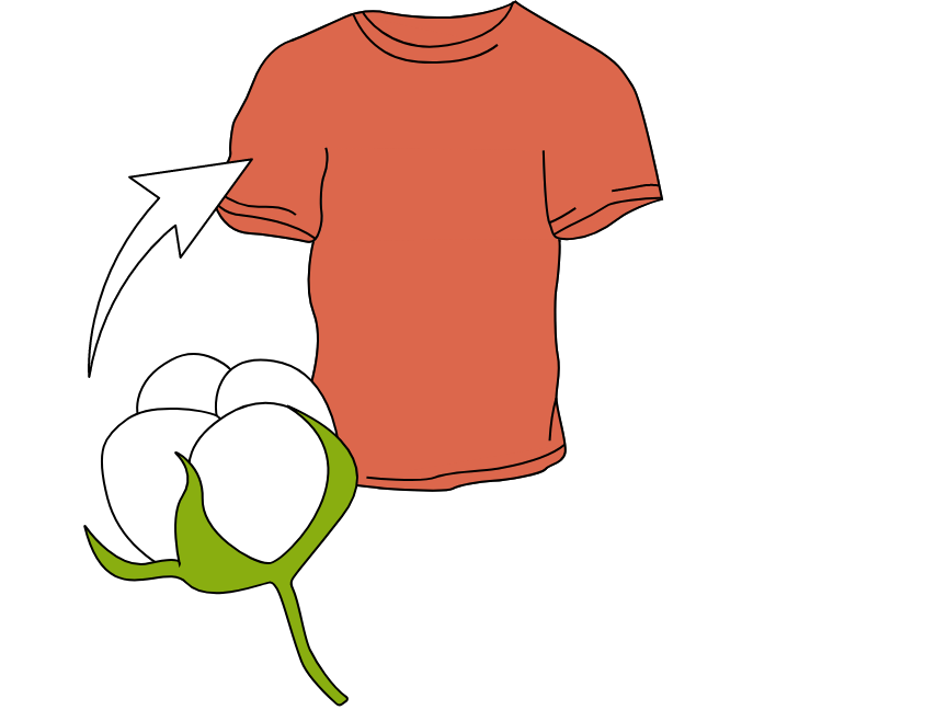 Illustration von einer Baumwollpflanze und einem roten T-Shirt