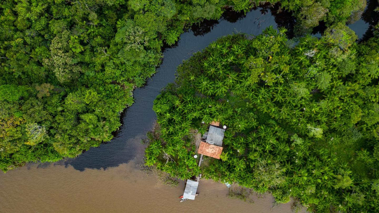 Rio Capim - Bundesstaat Pará - Amazonien