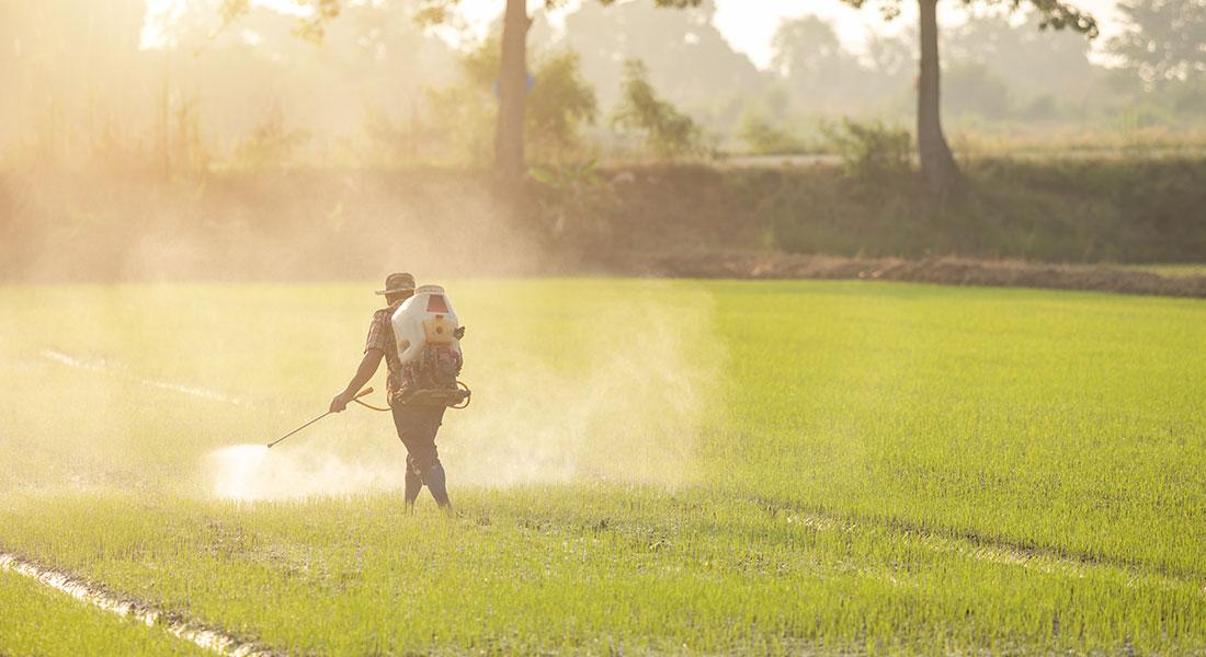Ein Mann düngt ein Feld