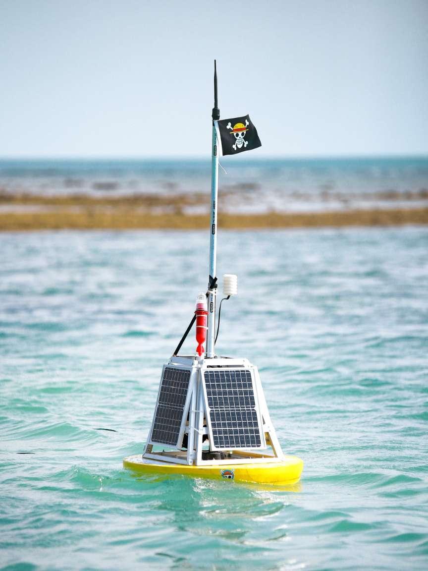 Eine kleine gelbe Boje mit Solarpanels und Sensoren schwimmt im türkisfarbenen Meer, beflaggt mit einer Piratenflagge.