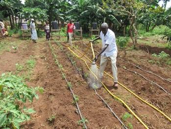 3 - CAADP Klima - Regenbewässerung