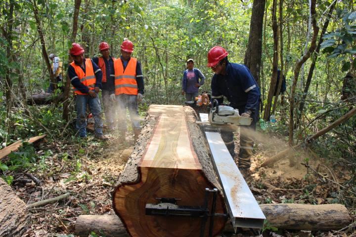 giz2019_sawing system