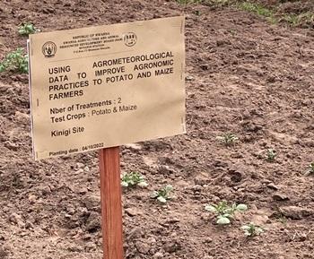 Der Einsatz digitaler Informationssysteme für eine nachhaltige und klimawandelangepasste Landwirtschaft in Ruanda wird auf Versuchsfeldern angewandt und ausgewertet.