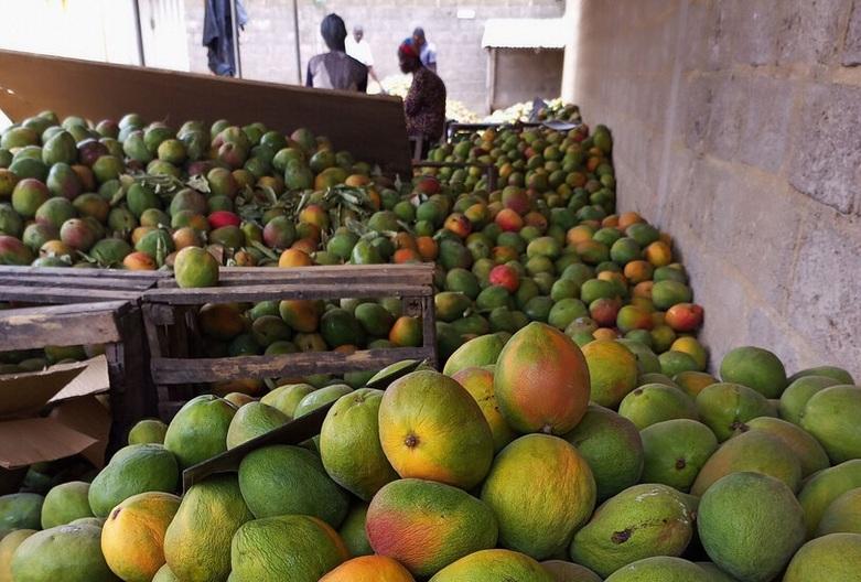 Frische Mangos liegen auf einem Marktstand, umgeben von anderen Obstsorten.