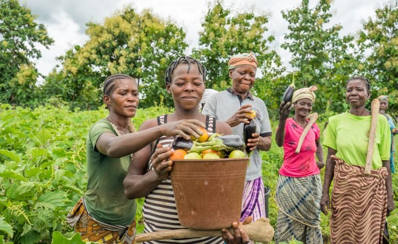 A group of women stand in a field and show their vegetable harvest.