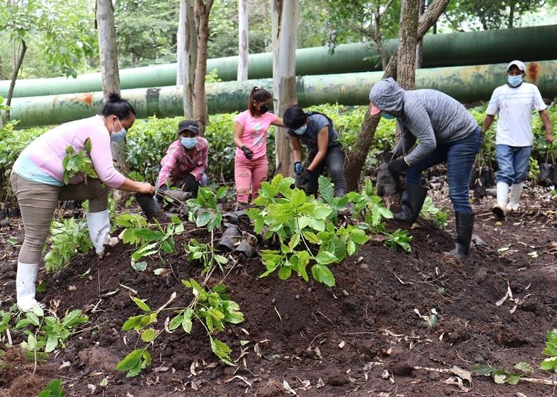 Eine Gruppe arbeitet im geothermischen Feld von LagGeo in El Salvador. Copyright: Neimy Girón, Proyecto GEO II/GIZ