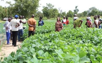 Eine Führung über Flächen, auf denen in der Zukunft versuchsweise Soja angebaut werden soll.