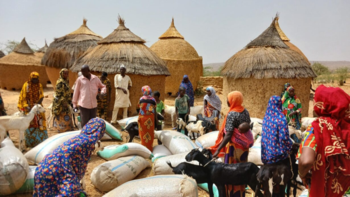Ziegen werden an Haushalte in einem Dorf im Sahel verteilt