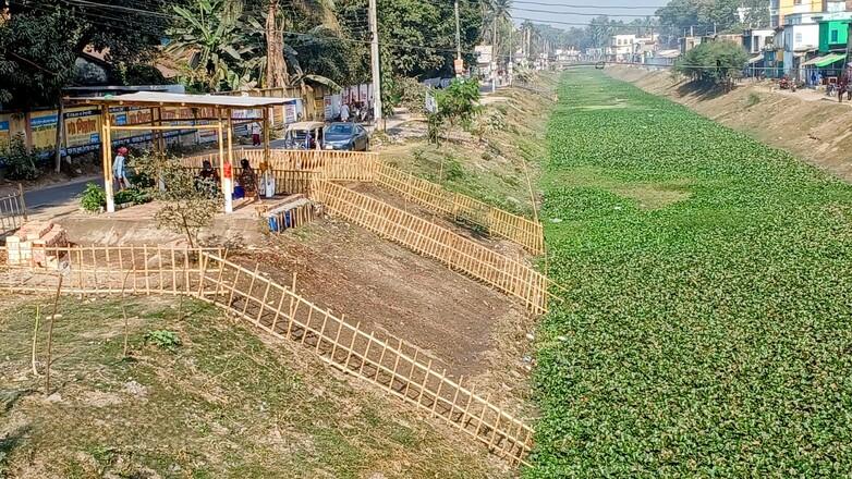 Ein mit grünen Pflanzen bewachsenes Flussbett. Copyright: GIZ BD