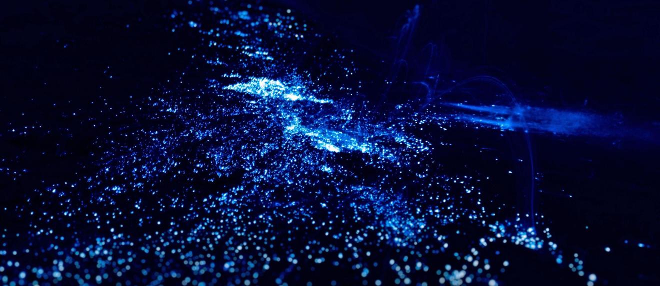 „Die Hochsee sichert das menschliche Überleben“