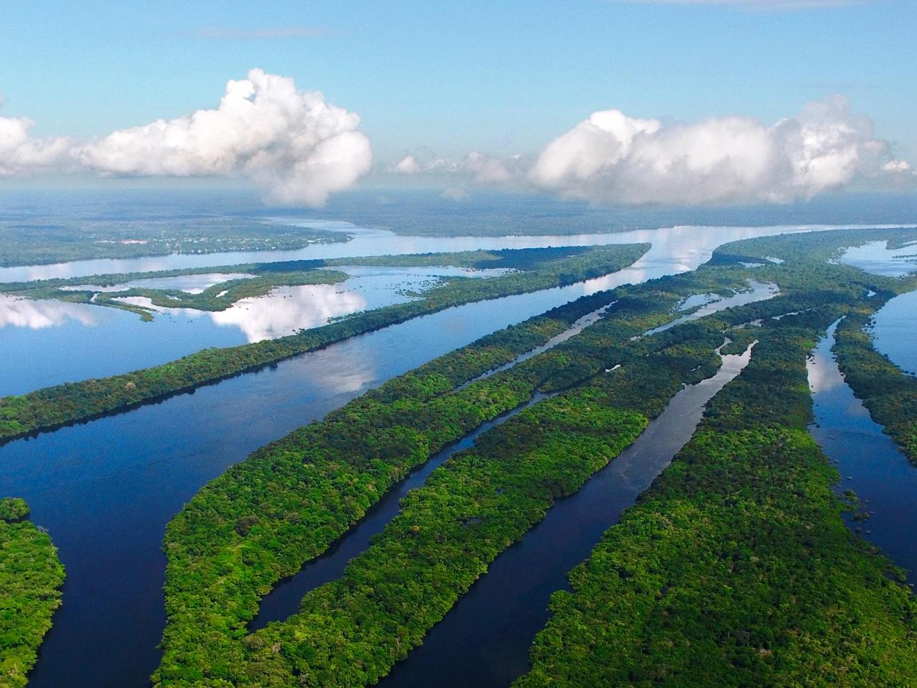 Präsident Lulas Waldpolitik zeigt Wirkung