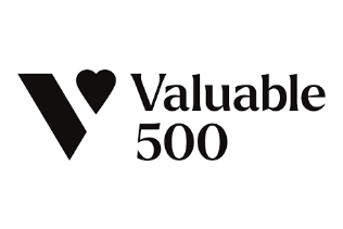 Logo Valuable 500